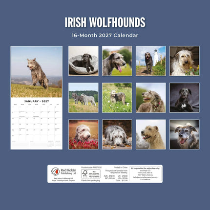 Red Robin Ierse Wolfshond Kalender 2027