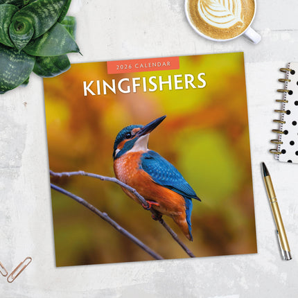 Red Robin IJsvogel Kalender 2026