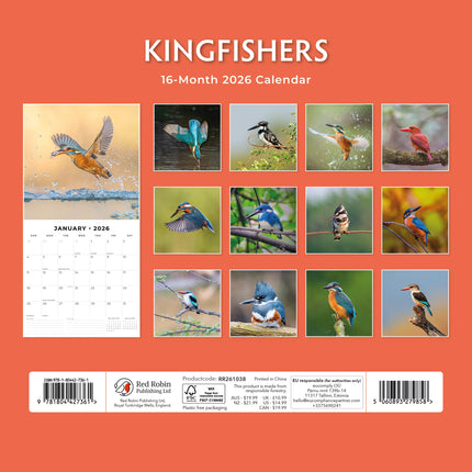 Red Robin IJsvogel Kalender 2026