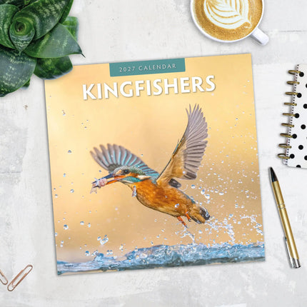 Red Robin IJsvogel Kalender 2027