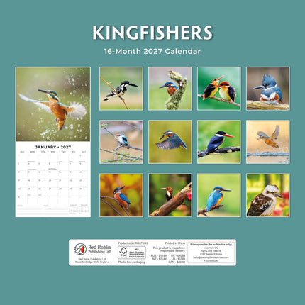 Red Robin IJsvogel Kalender 2027