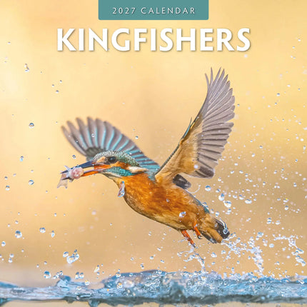 Red Robin IJsvogel Kalender 2027