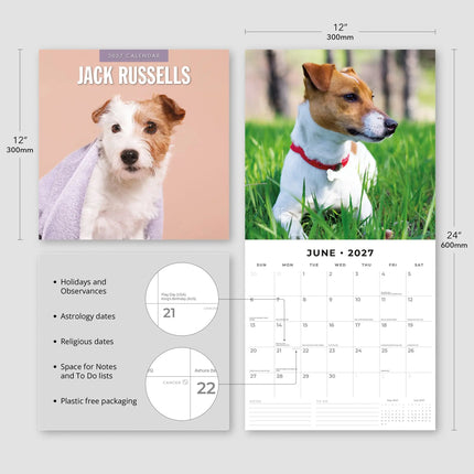 Red Robin Jack Russell Terrier Kalender 2027