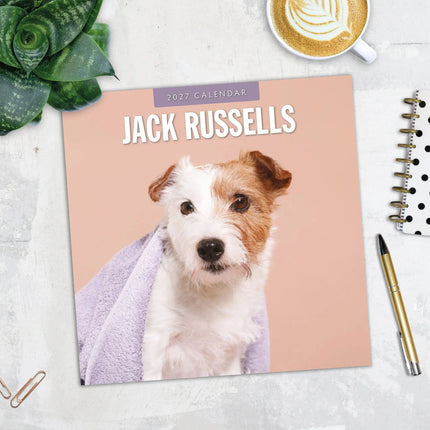 Red Robin Jack Russell Terrier Kalender 2027
