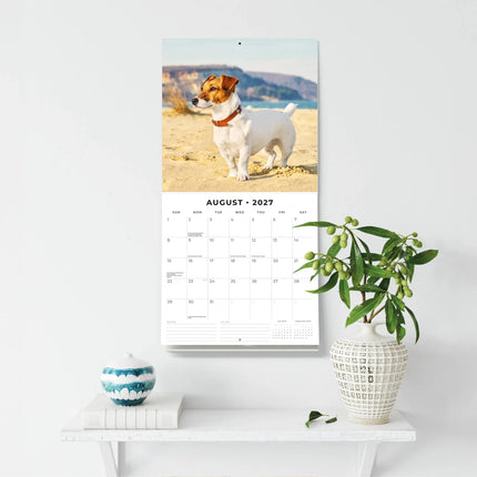 Red Robin Jack Russell Terrier Kalender 2027