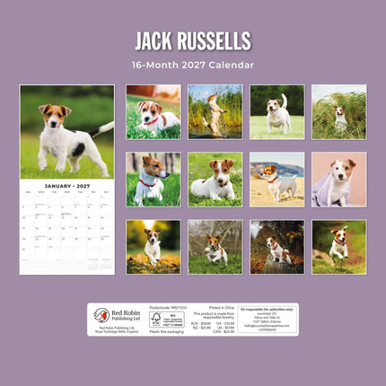 Red Robin Jack Russell Terrier Kalender 2027