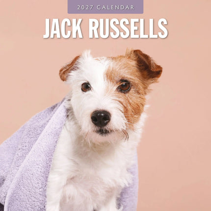Red Robin Jack Russell Terrier Kalender 2027
