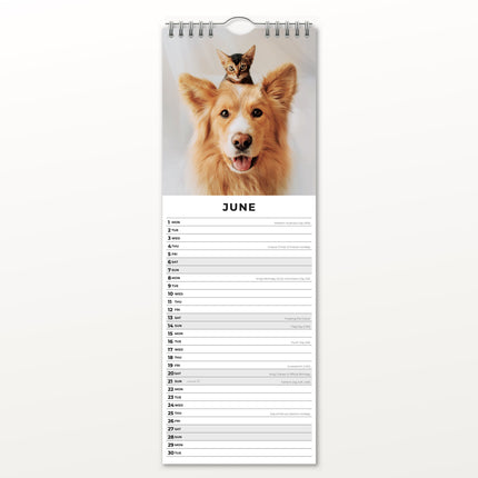 Red Robin Katten en Honden Slimline Kalender 2026
