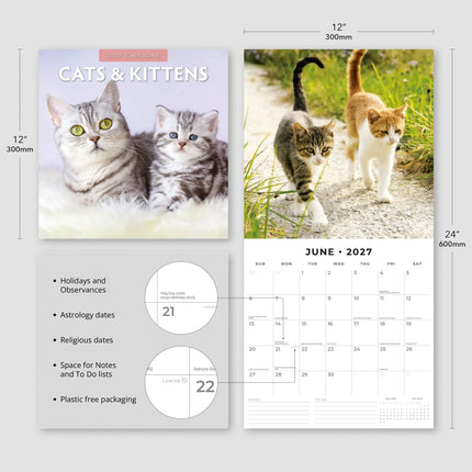 Red Robin Katten en Kittens Kalender 2027