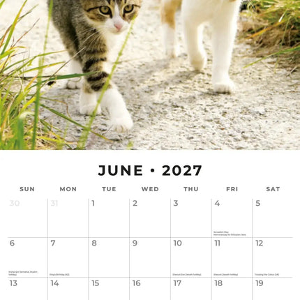 Red Robin Katten en Kittens Kalender 2027