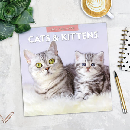 Red Robin Katten en Kittens Kalender 2027