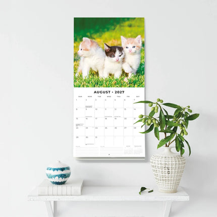 Red Robin Katten en Kittens Kalender 2027