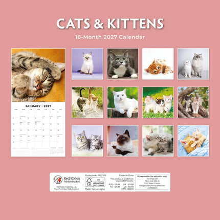 Red Robin Katten en Kittens Kalender 2027