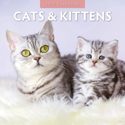 Red Robin Katten en Kittens Kalender 2027