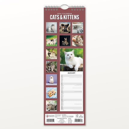 Red Robin Katten en Kittens Slimline Kalender 2026