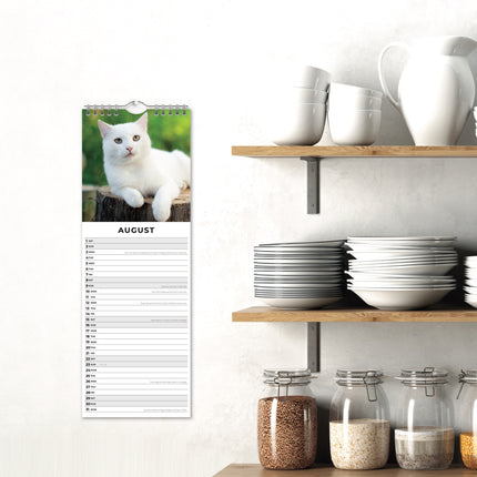 Red Robin Katten en Kittens Slimline Kalender 2026