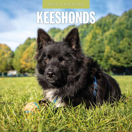Red Robin Keeshond Kalender 2026