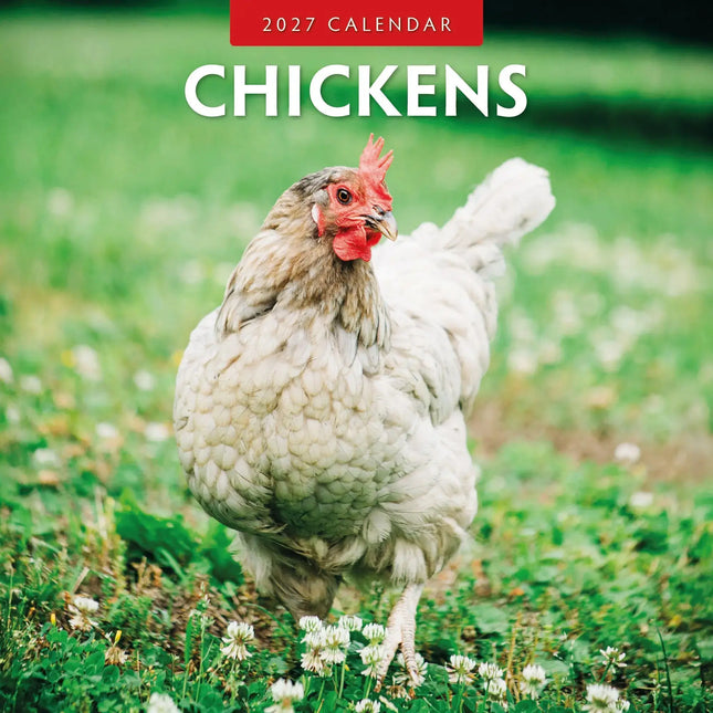 Red Robin Kippen Kalender 2027