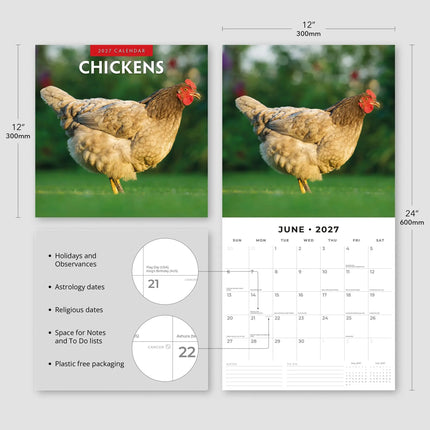 Red Robin Kippen Kalender 2027