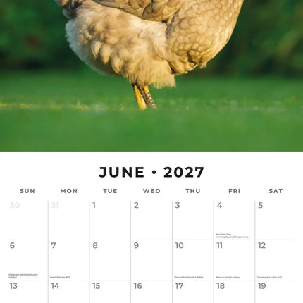 Red Robin Kippen Kalender 2027