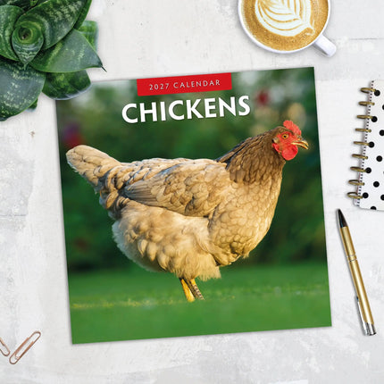Red Robin Kippen Kalender 2027