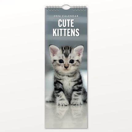 Red Robin Kittens Slimline Kalender 2026