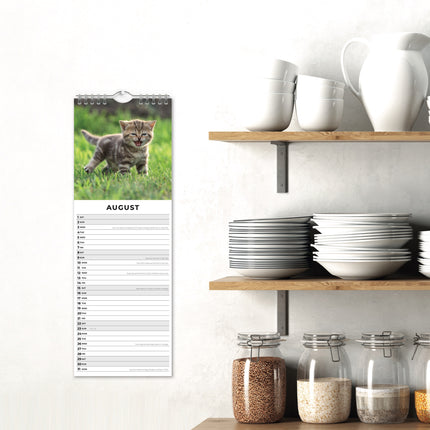 Red Robin Kittens Slimline Kalender 2026