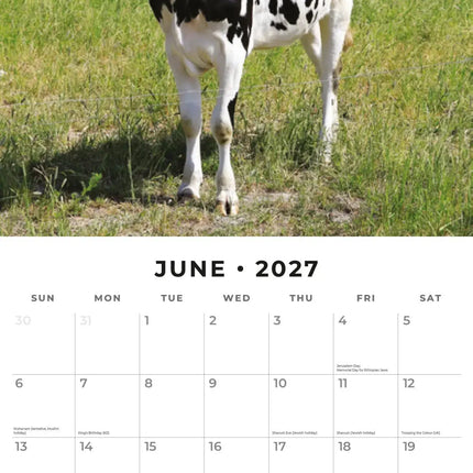 Red Robin Koeien Kalender 2027