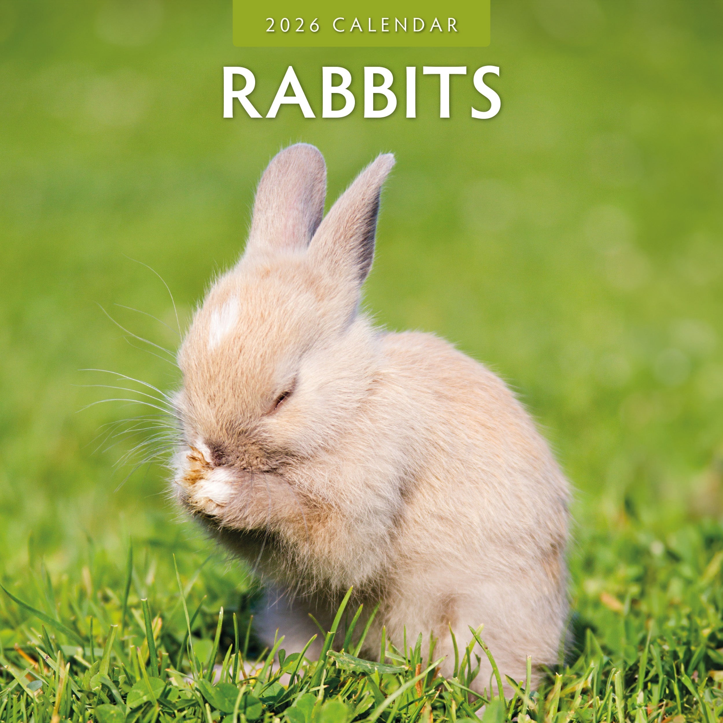 Buying Rabbits Calendar 2026? Quick and easy online