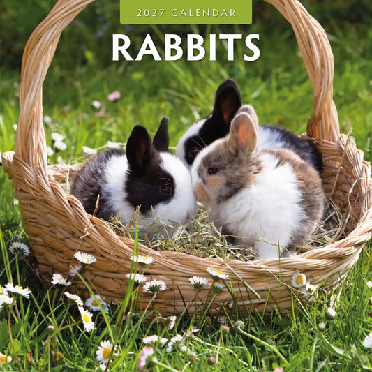 Rabbits Calendar 2027: Perfect for Animal Lovers