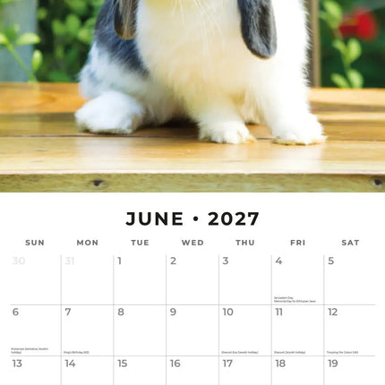 Red Robin Konijnen Kalender 2027