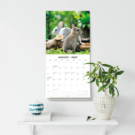 Red Robin Konijnen Kalender 2027