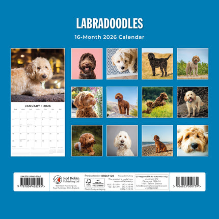 Red Robin Labradoodle Kalender 2026