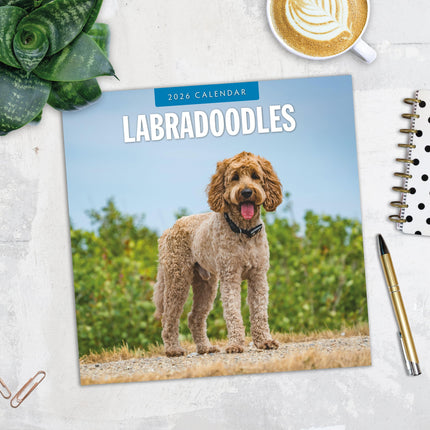 Red Robin Labradoodle Kalender 2026