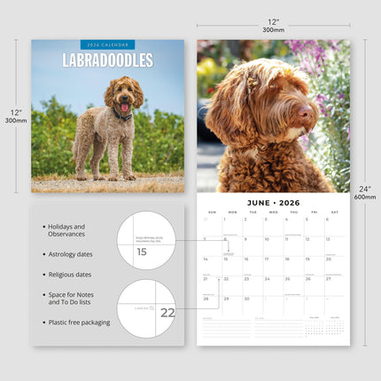 Red Robin Labradoodle Kalender 2026