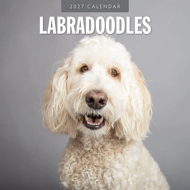 Red Robin Labradoodle Kalender 2027