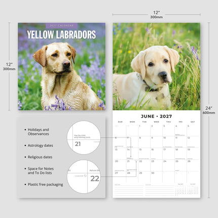 Red Robin Labrador Retriever Blond Kalender 2027