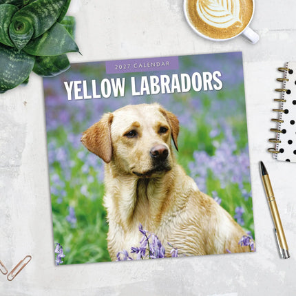 Red Robin Labrador Retriever Blond Kalender 2027