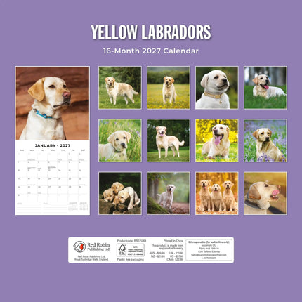 Red Robin Labrador Retriever Blond Kalender 2027