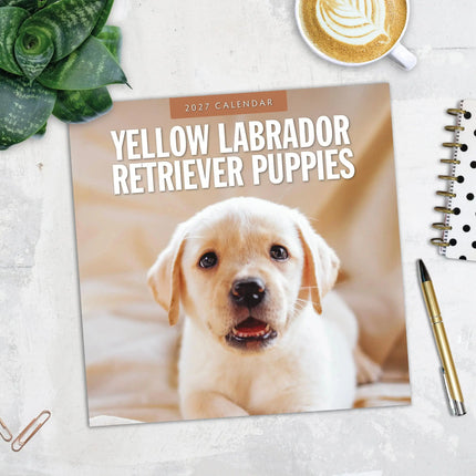 Red Robin Labrador Retriever Blond Puppies Kalender 2027