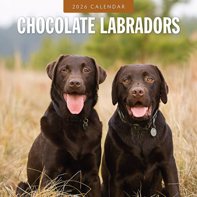 Red Robin Labrador Retriever Bruin Kalender 2026