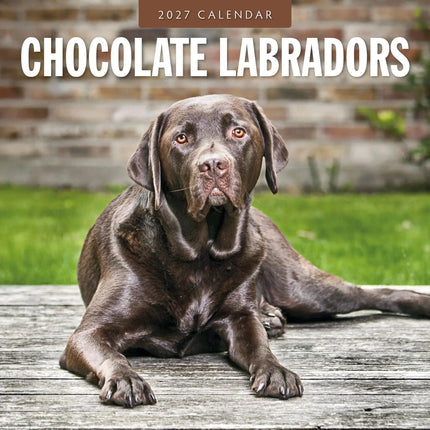 Red Robin Labrador Retriever Bruin Kalender 2027