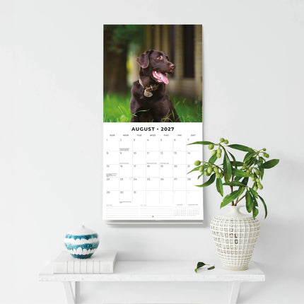 Red Robin Labrador Retriever Bruin Kalender 2027