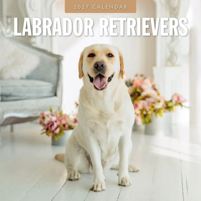 Red Robin Labrador Retriever Kalender 2027