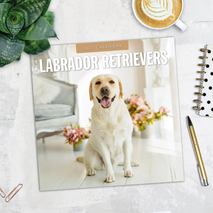 Red Robin Labrador Retriever Kalender 2027