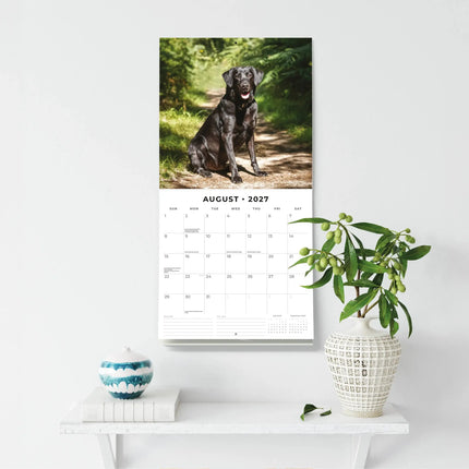 Red Robin Labrador Retriever Kalender 2027