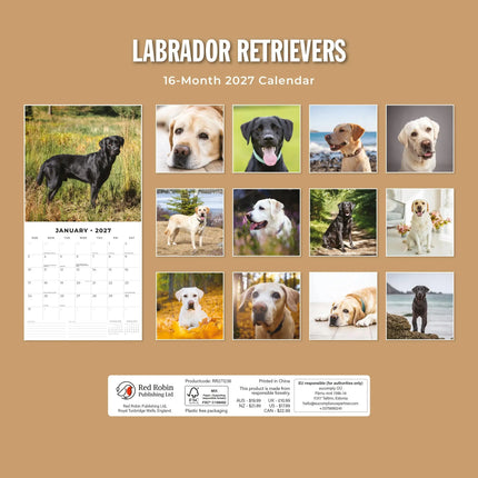 Red Robin Labrador Retriever Kalender 2027