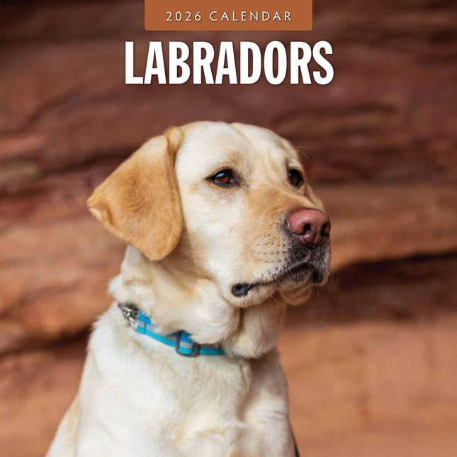 Red Robin Labrador Retriever Mixed Kalender 2026