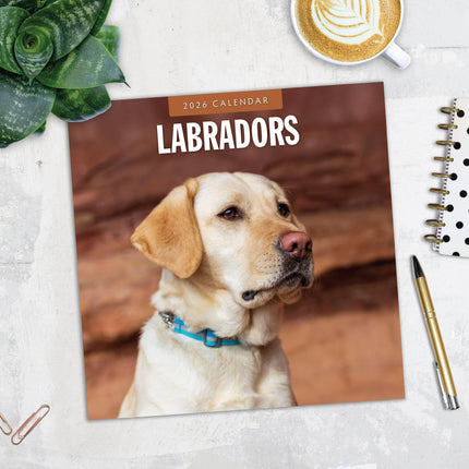 Red Robin Labrador Retriever Mixed Kalender 2026
