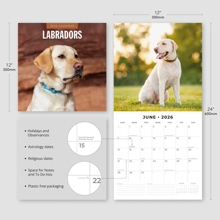 Red Robin Labrador Retriever Mixed Kalender 2026